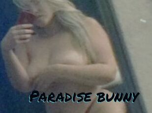 Paradise_bunny