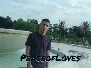 PeaceofLoves