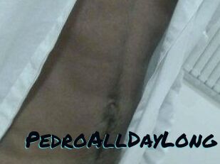 PedroAllDayLong