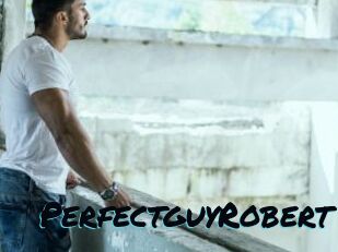 PerfectguyRobert