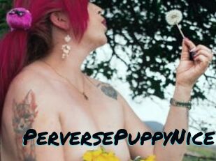 PerversePuppyNice