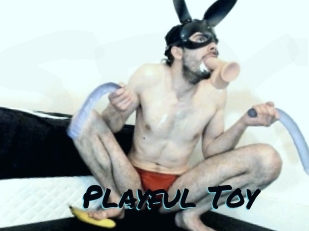 Playful_Toy