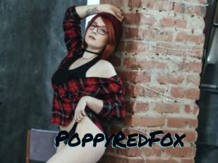 PoppyRedFox