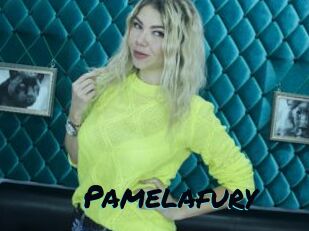 Pamelafury