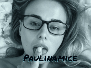 Paulinamice