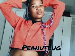 Peanutbug