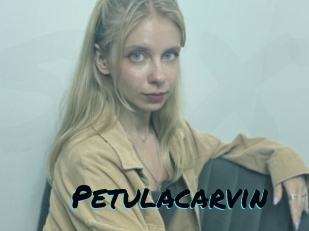 Petulacarvin