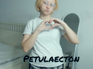 Petulaecton