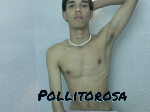 Pollitorosa