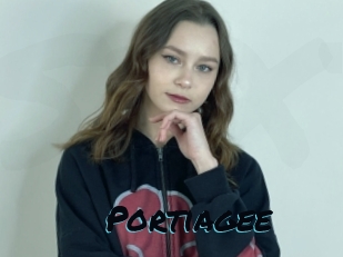Portiagee