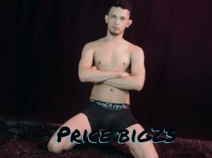 Price_big23