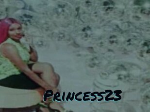 Princess23