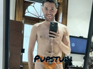 Pupstud