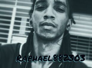 Raphael882303
