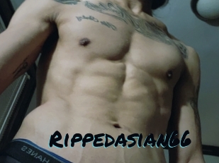 Rippedasian66