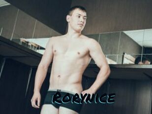 Rorynice