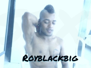 Royblackbig