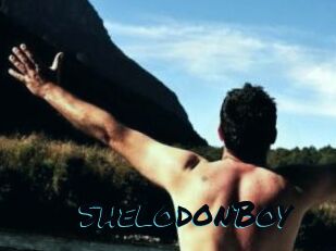 ShelodonBoy