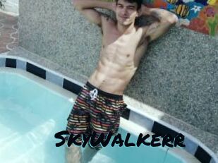 SkyWalkerr