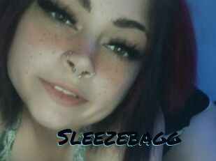 Sleezebagg