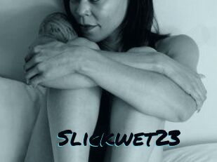 Slick_wet23