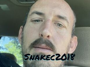 Snakec2018