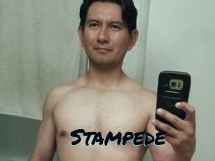 Stampede