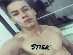 Stier
