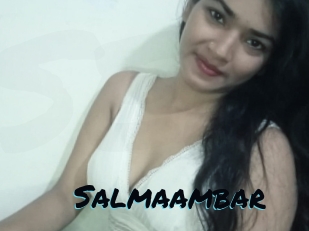 Salmaambar