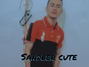 Sandler_cute