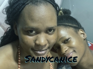 Sandycanice