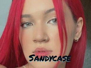 Sandycase