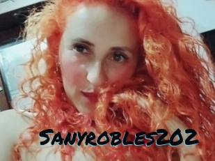 Sanyrobles202