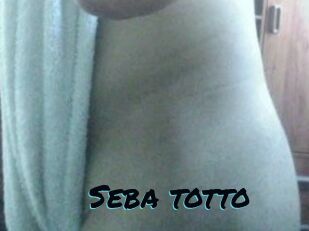 Seba_totto