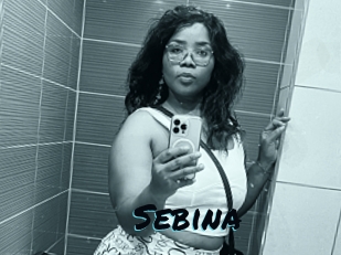 sebina Sexties