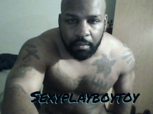 Sexyplayboytoy