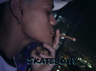 Skateboy18