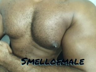 Smellofmale