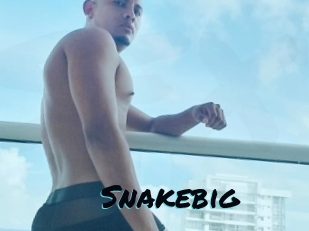 Snakebig