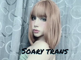 Soary_trans