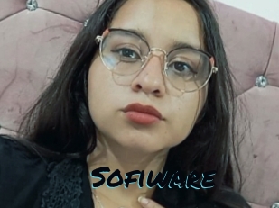 Sofiware