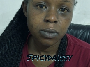 Spicydaissy