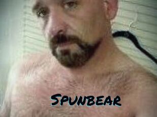 Spunbear