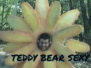 TEDDY_BEAR_SEXY