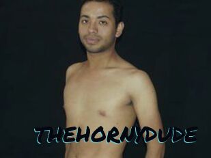 THEHORNYDUDE