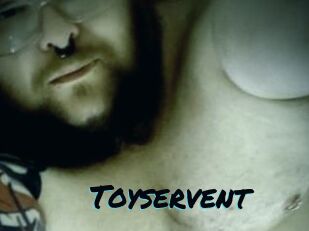 Toyservent