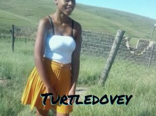 Turtledovey