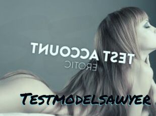 Testmodelsawyer