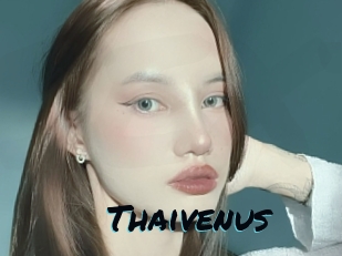 Thaivenus