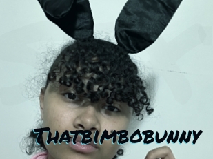 Thatbimbobunny